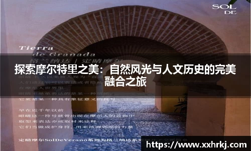 mk体育官网入口