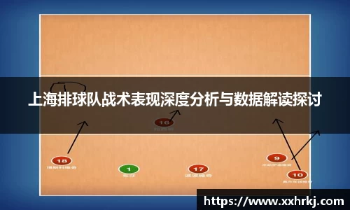 mk体育官网入口